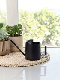 Stainless Steel Long Spout Watering Can for Indoor Plants, Succulents, and Kids - Mini 300ml to 1000ml