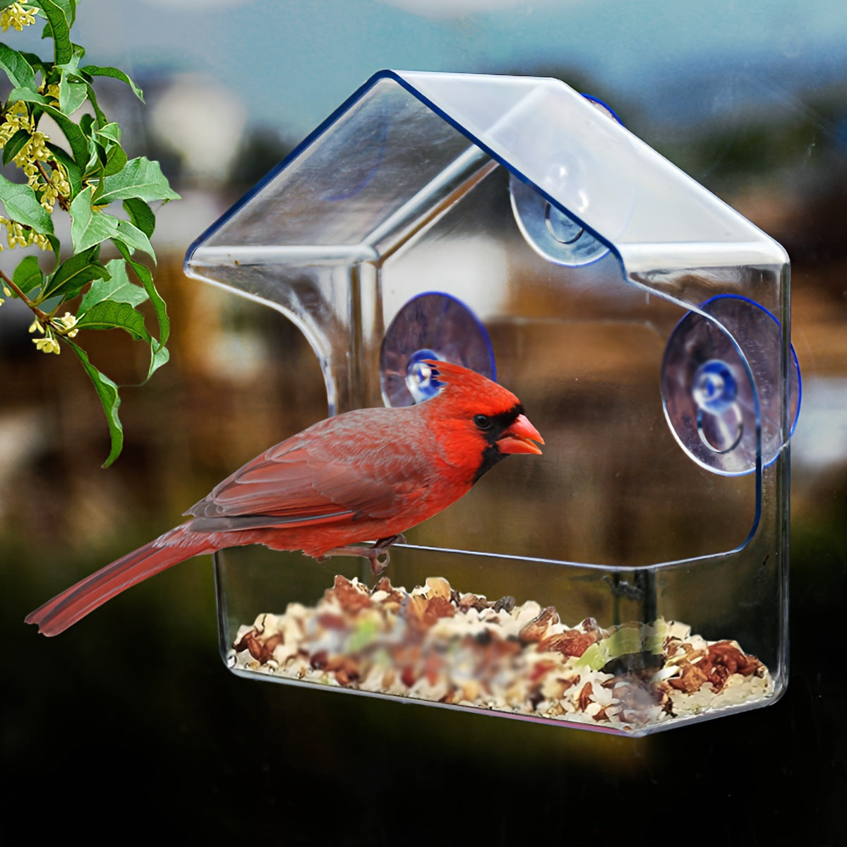 Acrylic Transparent Bird Feeder with Suction Cups for Balcony Window Glass Outdoor Nature