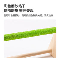 Parrot Play Stand with Perch and Feeder Cups for Small Birds, Cockatiels, Parakeets, Solid Wood Tabletop Toy