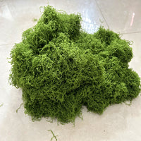 Artificial Moss Yarn Silk Grass Turf for Indoor Decor and Plant Walls