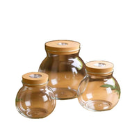 Borosilicate Glass Desktop Ecosystem Bottle with LED Light Hydroponic Vase Micro Landscape Fish Tank