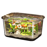 Desktop Aquarium Fish Tank for Goldfish and Turtles, Small Household Ecological Tank, Anti-fall and Durable