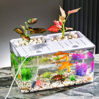 Desktop Turtle Tank Ecological Fish Tank Medium Transparent Plastic Office Study Landscaping Aquarium