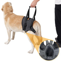 Dog Rear Leg Support Harness for Injured, Elderly, or Disabled Dogs - Pressure-Reducing Mobility Aid