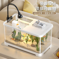Desktop PET Fish Tank with Filter and Oxygenation, High Transparency Aquarium for Small Fish