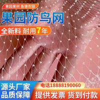 Bird Netting for Fruit Trees, Gardens, and Ponds - Durable Nylon Mesh Protection
