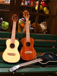ADL Andrew Solid Wood Ukulele for Beginners, Students, and Children - Concert/Tenor Sizes