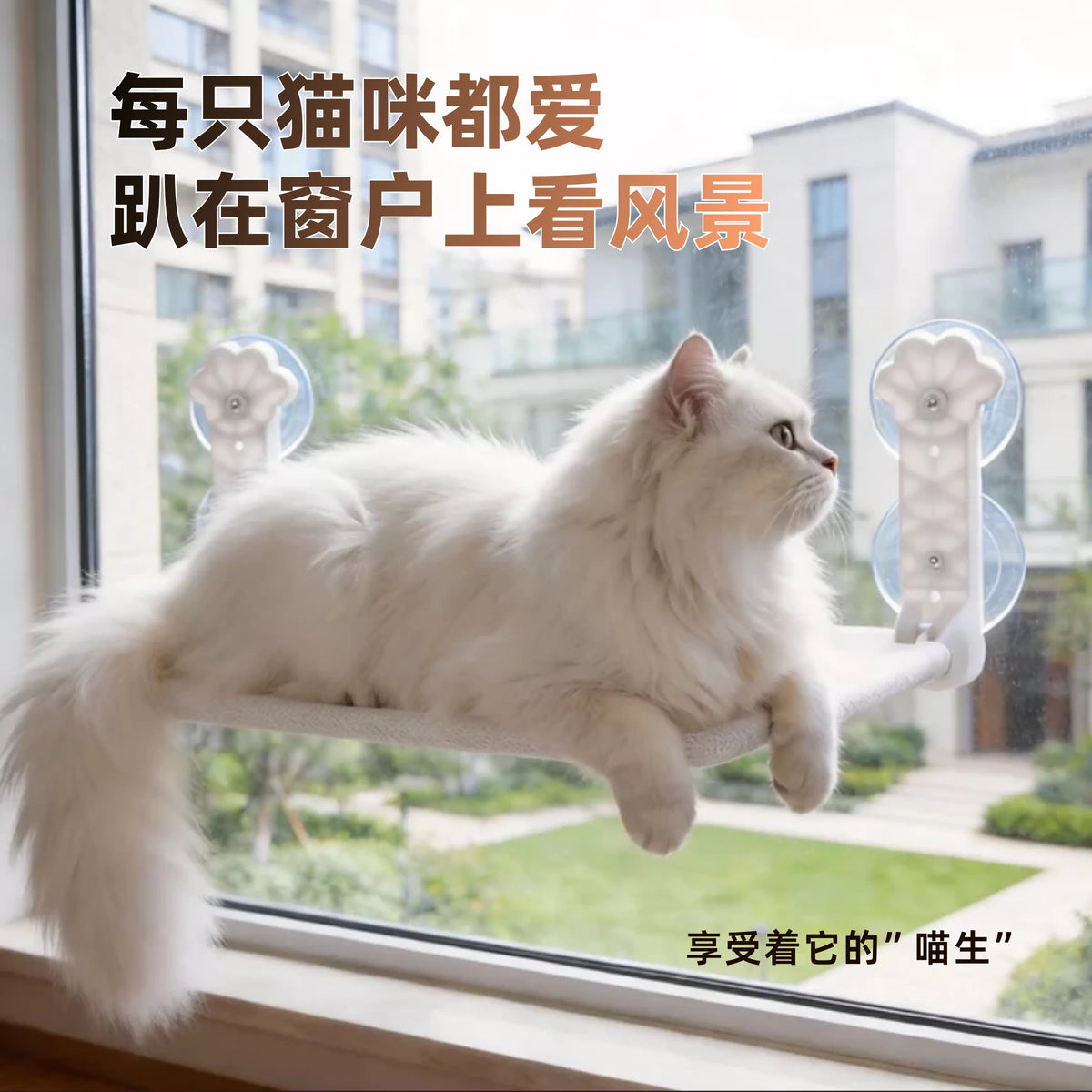Cat Window Hammock Bed with Suction Cups for Sunbathing