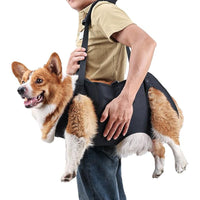 Pet Mobility Aid Harness for Elderly and Disabled Dogs - Breathable, Adjustable Support Vest for Rehabilitation and Walking