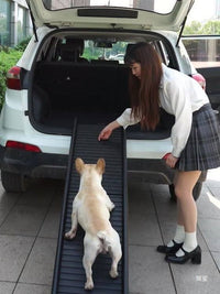 Foldable Pet Ramp Stair Aid for Cars, Dog Step Ladder