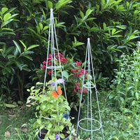 Metal Plant Climbing Trellis for Potted Plants, Rose, Clematis, and Vine Support