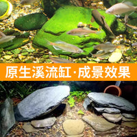 Natural River Rock Aquarium Landscape Stone for Fish Tank Decoration