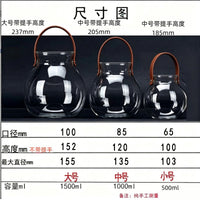 Leather Handle Glass Terrarium Vase for Hydroponics and Micro Landscape