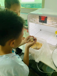 HT36 PID Constant Temperature and Humidity Incubator for Reptiles and Birds