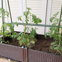 Garden Plant Trellis for Climbing Vines, Luffa, Beans, Cucumbers, Roses, and Potted Plants