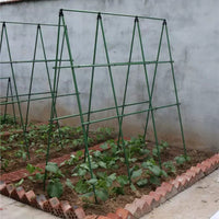 Balcony Vegetable Rack Climbing Frame Garden Flower Stand Plant Support for Beans and Cucumbers