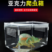 Acrylic Reptile Terrarium Breeding Box for Lizards, Spiders, Tortoises, and Frogs
