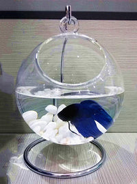 Hanging Thickened Transparent Glass Mini Fish Tank with Stand, Creative Round Hydroponic Plant Ornament