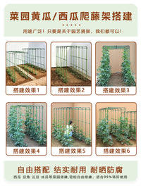 Heavy-Duty Coated Steel Plant Trellis for Climbing Vegetables and Flowers