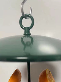 Outdoor Hanging Metal Bird Feeder for Fruit and Seeds