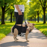 Pet Support Harness for Injured, Elderly, or Disabled Dogs