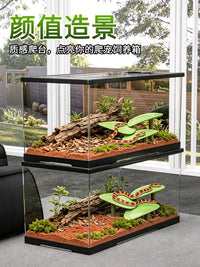 Acrylic Reptile Terrarium with Lid for Lizards, Geckos, and Turtles - Dual-Use Aquatic and Terrestrial Habitat