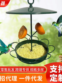 Outdoor Hanging Metal Bird Feeder for Fruit and Seeds