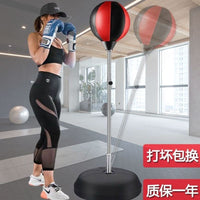 Freestanding Punching Speed Ball for Stress Relief & Training, Inflatable Boxing Reflex Bag for Adults & Kids