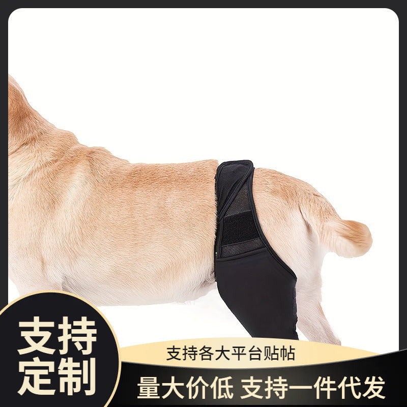 Dog Leg Brace for Injury Recovery and Joint Protection, Anti-Lick Post-Surgery Wrap