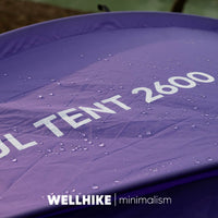 WELLHIKE SWS Morning Dew 2-Person Lightweight Waterproof Camping Tent for Hiking & Mountaineering
