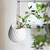 European Style Wall Mounted Ceramic Planter for Indoor/Outdoor Decor