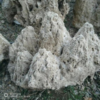 Natural Absorbent Stone for Miniature Landscapes and Garden Decor