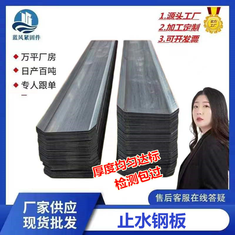 Galvanized Waterstop Steel Plate for Construction, 300mm Width, Various Lengths and Thicknesses