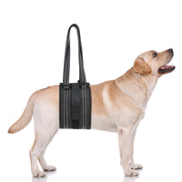 Breathable Mesh Pet Dog Walking Aid Harness for Injured Elderly Dogs Rehabilitation Support
