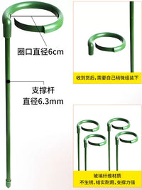 Plant Support Stakes for Potted Plants, Monstera, Amaryllis, Lily, Tomato, and Climbing Vines