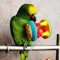 Bird Chew Toy Plastic Ball for Parrots and Small Birds, Sound-Making Cage Decoration