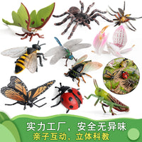 Kids' Educational Insect and Animal Figurines Set - Cicada, Mantis, Butterfly, Bee Models