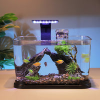 Desktop Stream Aquarium with Integrated Filtration & Oxygenation, LED Lighting, and Landscape Decor