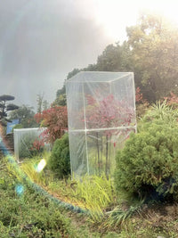 Succulent Flower Greenhouse Plant Insect-proof Seedling Cover Winter Warm Balcony Outdoor Plant Frost Protection Cover