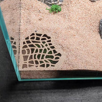 Aquarium Fish Tank Landscaping Decoration, Viewing Cave for Fish and Shrimp Shelter, Breeding Tank Ornament