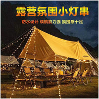 LED Globe String Lights Battery Operated/USB for Christmas & Holiday Decor