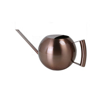 Spherical Stainless Steel Watering Can with Long Spout for Indoor & Outdoor Plants, 1000ml