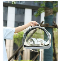 Bird Carrier Backpack for Parrots Hamsters Small Cats Guinea Pigs and Mynah Birds, Transparent Pet Travel Cage with Perches