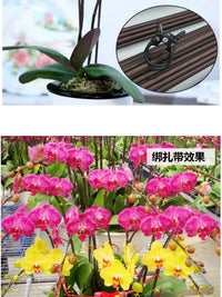 Orchid Plant Support Stakes with Clips and Caps for Potted Flowers