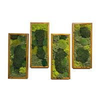 Preserved Moss Wall Art Decor Maintenance-Free 3D Green Plant Hanging Painting for Living Room Entrance