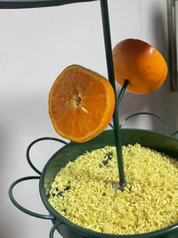 Outdoor Hanging Metal Bird Feeder for Fruit and Seeds