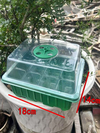 Large Thickened 24-Cell Seedling Tray with Lid for Succulents and Plant Propagation