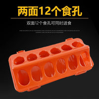 Automatic Quail Feeder and Waterer for Small Birds