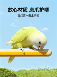 Parrot Grinding Claw Perch Sanded Wood Stand Stick Budgie Peony Sun Conure Toy Chew Rod Bird Cage Accessories
