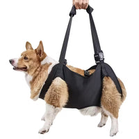 Pet Dog Lift Harness for Injured, Disabled, or Elderly Dogs - Support Sling for Rehabilitation and Mobility